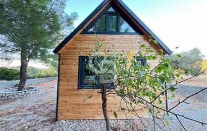 Urla'da 803 Mt2 Tarla İçerisinde Satılık 1+1 Bungalov Ev