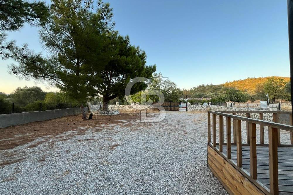 Urla'da 803 Mt2 Tarla İçerisinde Satılık 1+1 Bungalov Ev