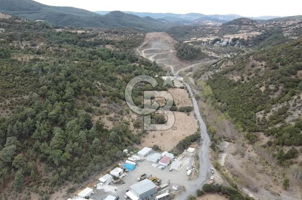 ÇANAKKALE MERKEZ HALİLOĞLU KÖYÜ YOLA CEPHELİ 8 DÖNÜM TARLA