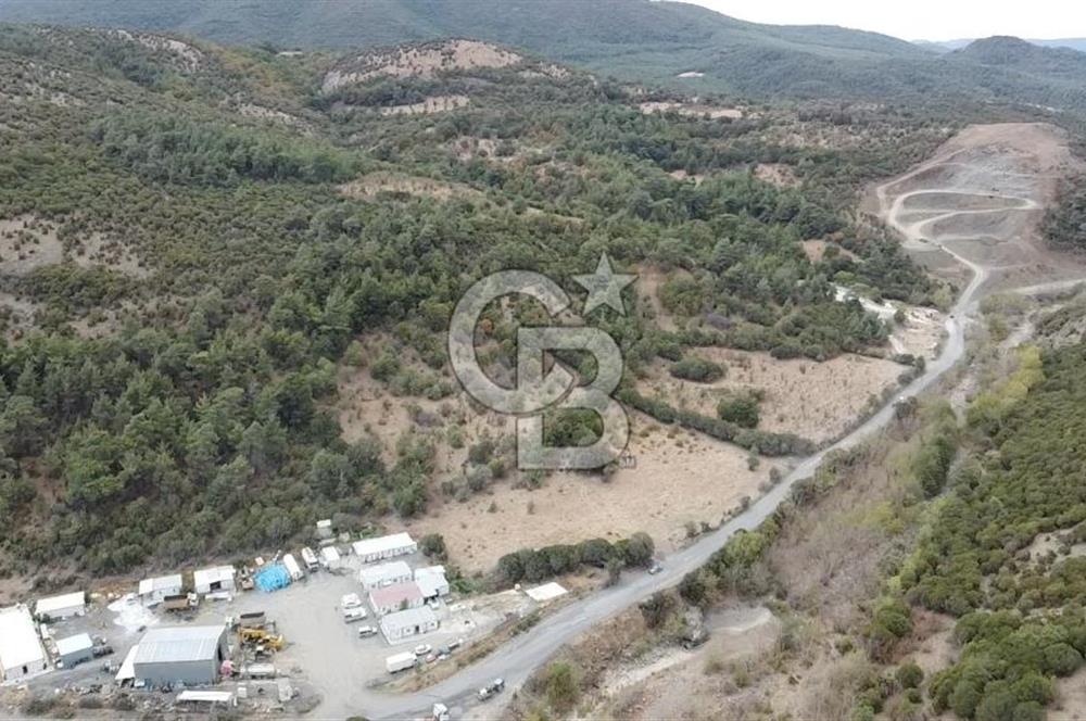 ÇANAKKALE MERKEZ HALİLOĞLU KÖYÜ YOLA CEPHELİ 8 DÖNÜM TARLA