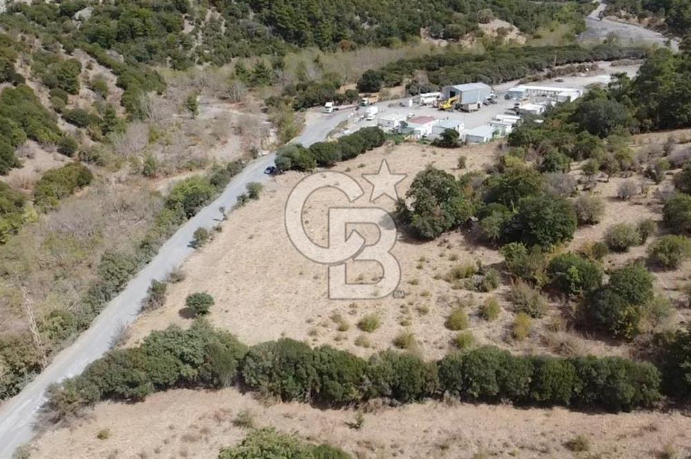 ÇANAKKALE MERKEZ HALİLOĞLU KÖYÜ YOLA CEPHELİ 8 DÖNÜM TARLA