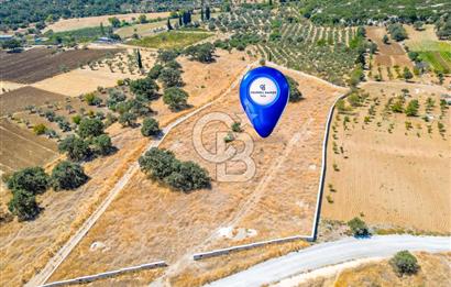 URLA OVACIK'ta 10.297 M2 SATILIK TARLA