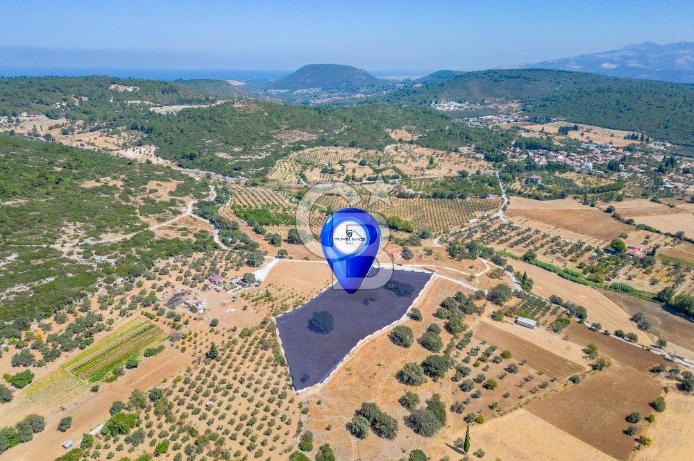 URLA OVACIK'ta 10.297 M2 SATILIK TARLA