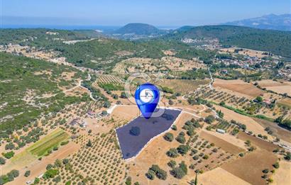 URLA OVACIK'ta 10.297 M2 SATILIK TARLA