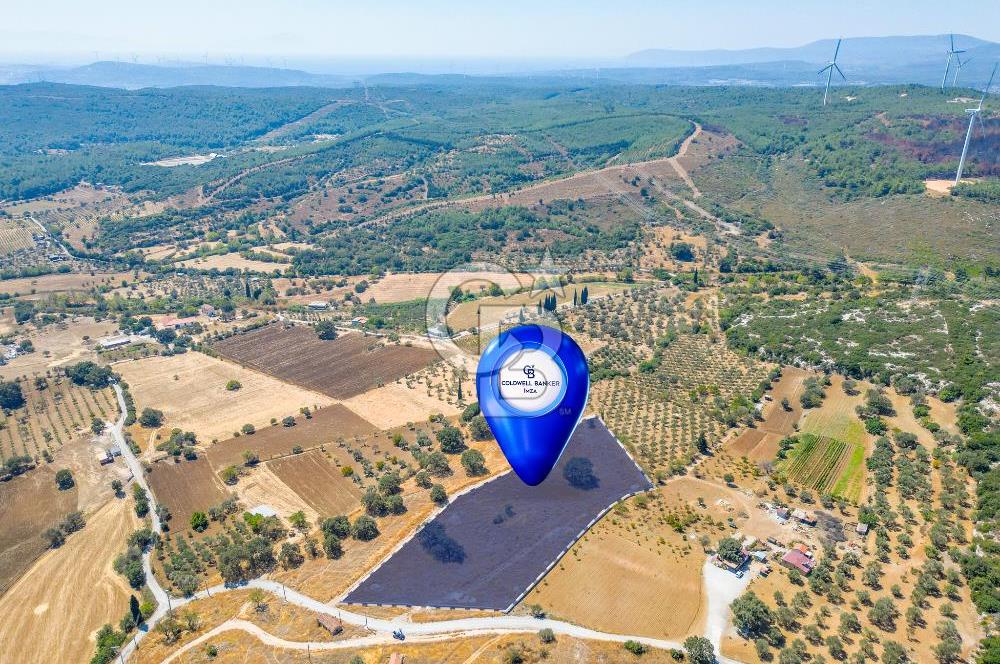 URLA OVACIK'ta 10.297 M2 SATILIK TARLA