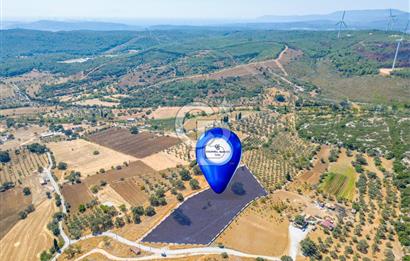 URLA OVACIK'ta 10.297 M2 SATILIK TARLA
