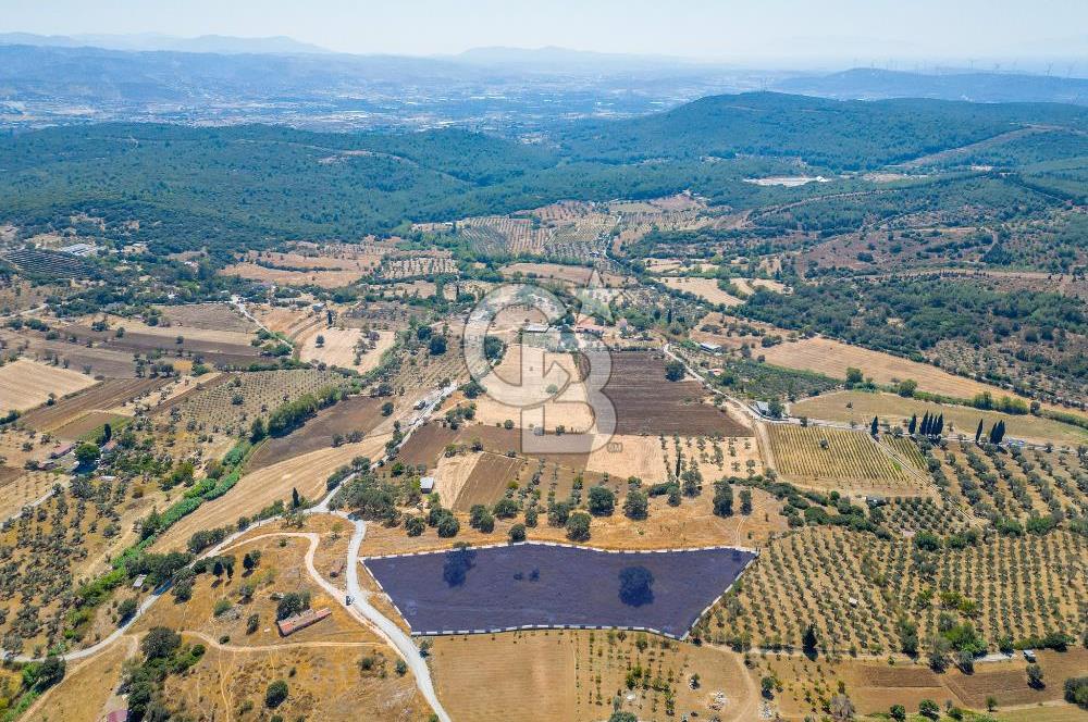 URLA OVACIK'ta 10.297 M2 SATILIK TARLA