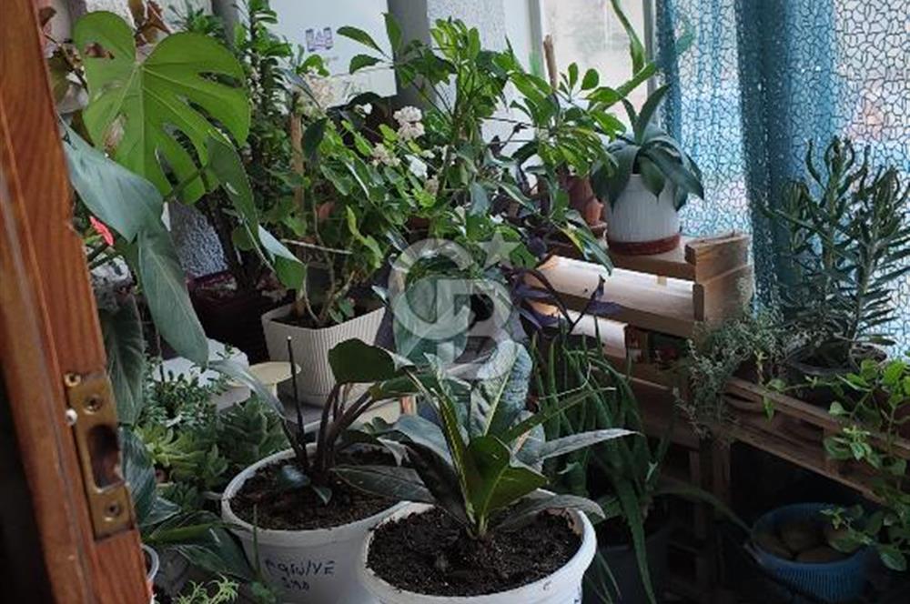 ERYAMAN ŞEYH ŞAMİL MAHALLESİNDE 3+1 SATILIK DAİRE