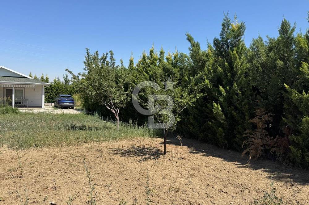 Temelli Olukpınar’da Eşyalarıyla Satılık Bahçe Evi 