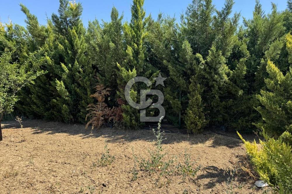 Temelli Olukpınar’da Eşyalarıyla Satılık Bahçe Evi 