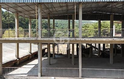 BORNOVA KARAÇAM'DA KOMPLE SATILIK FABRİKA VE DEPO BİNASI