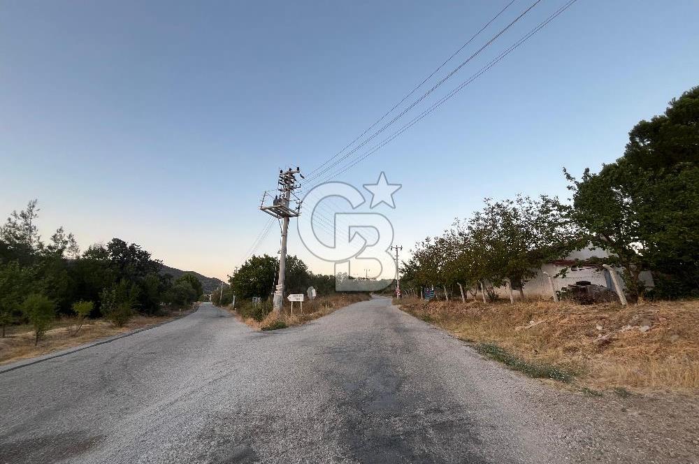 BERGAMA MERKEZE YAKIN KONUMDA SATILIK ZEYTİN AĞAÇLI TARLA