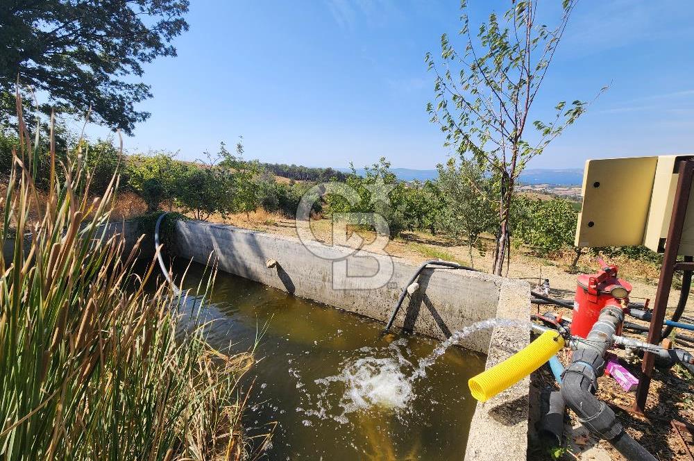 ÇANAKKALE MERKEZ KIZILKEÇİLİ DENİZ MANZARALI HAYALLERDEKİ TARLA