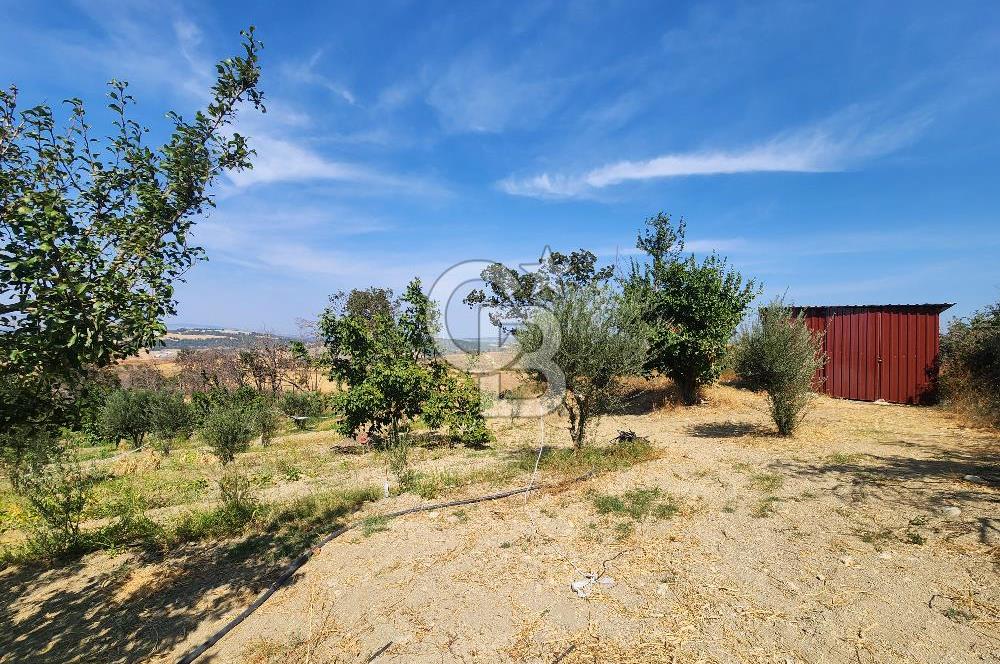 ÇANAKKALE MERKEZ KIZILKEÇİLİ DENİZ MANZARALI HAYALLERDEKİ TARLA