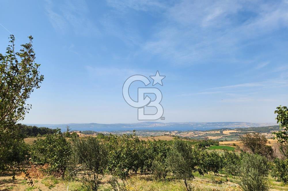 ÇANAKKALE MERKEZ KIZILKEÇİLİ DENİZ MANZARALI HAYALLERDEKİ TARLA