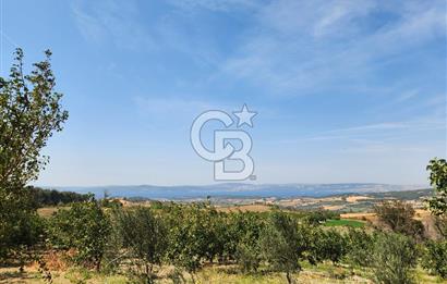 ÇANAKKALE MERKEZ KIZILKEÇİLİ DENİZ MANZARALI HAYALLERDEKİ TARLA