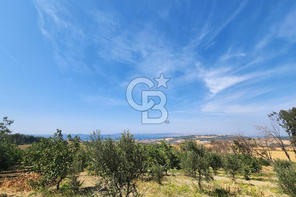ÇANAKKALE MERKEZ KIZILKEÇİLİ DENİZ MANZARALI HAYALLERDEKİ TARLA