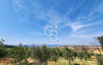 ÇANAKKALE MERKEZ KIZILKEÇİLİ DENİZ MANZARALI HAYALLERDEKİ TARLA