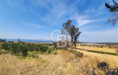 ÇANAKKALE MERKEZ KIZILKEÇİLİ DENİZ MANZARALI HAYALLERDEKİ TARLA