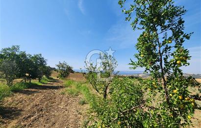 ÇANAKKALE MERKEZ KIZILKEÇİLİ DENİZ MANZARALI HAYALLERDEKİ TARLA