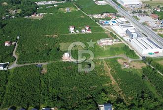 SAKARYA HENDEK BÜYÜKDERE SATILIK KONUT İMARLI 450 M2 ARSA