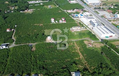 SAKARYA HENDEK BÜYÜKDERE SATILIK KONUT İMARLI 450 M2 ARSA
