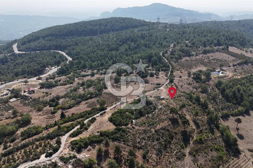 Mersin Mezitli Kuzucubelen Mah. Müstakil Tapulu Satılık Arsa Arazi