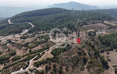 Mersin Mezitli Kuzucubelen Mah. Müstakil Tapulu Satılık Arsa Arazi