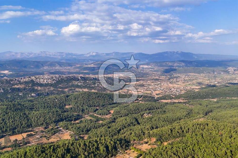 MENTEŞE KUYUCAK'DA SATILIK 5.932 M2 TARLA