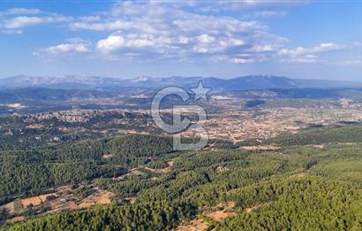 MENTEŞE KUYUCAK'DA SATILIK 5.932 M2 TARLA