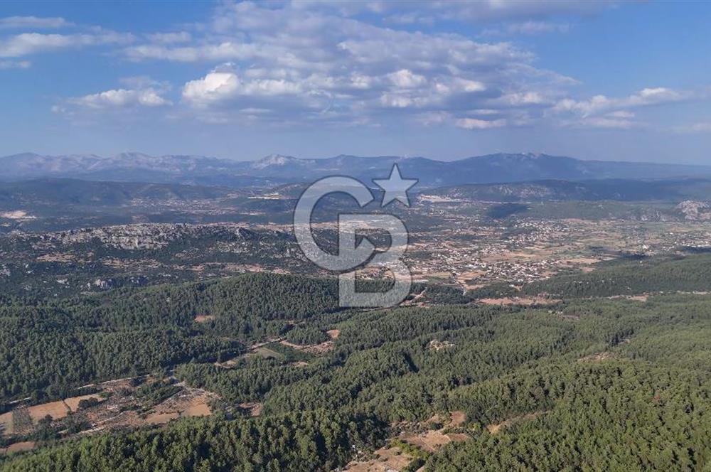 MENTEŞE KUYUCAK'DA SATILIK 5.932 M2 TARLA
