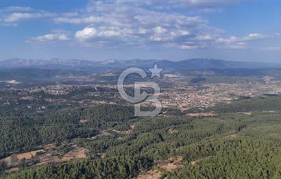 MENTEŞE KUYUCAK'DA SATILIK 5.932 M2 TARLA
