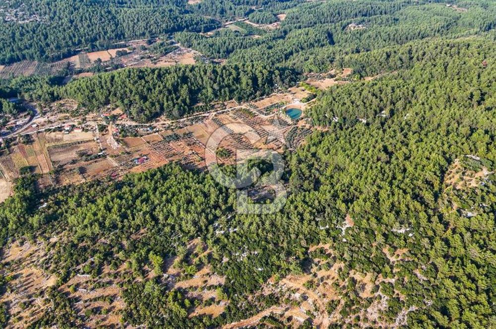 MENTEŞE KUYUCAK'DA SATILIK 5.932 M2 TARLA