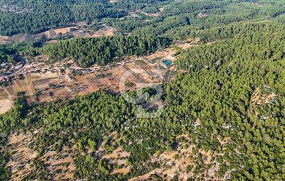 MENTEŞE KUYUCAK'DA SATILIK 5.932 M2 TARLA