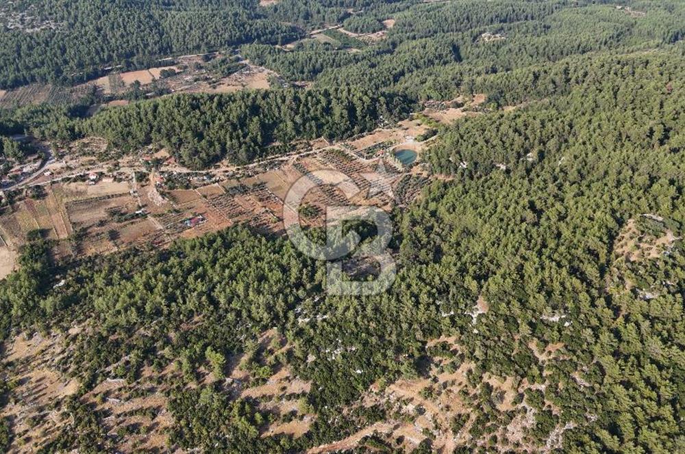 MENTEŞE KUYUCAK'DA SATILIK 5.932 M2 TARLA