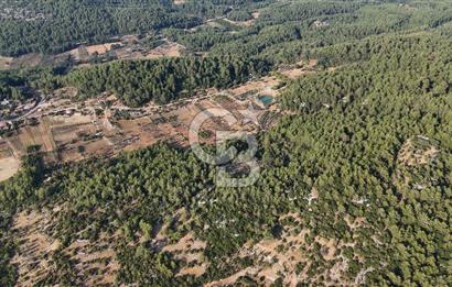 MENTEŞE KUYUCAK'DA SATILIK 5.932 M2 TARLA