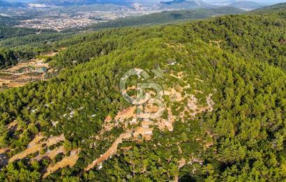 MENTEŞE KUYUCAK'DA SATILIK 5.932 M2 TARLA