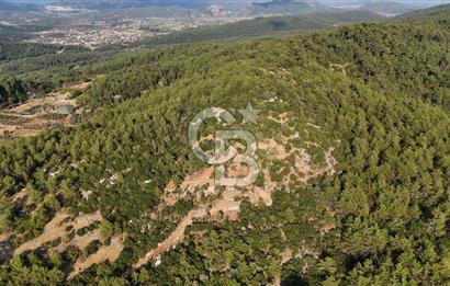 MENTEŞE KUYUCAK'DA SATILIK 5.932 M2 TARLA