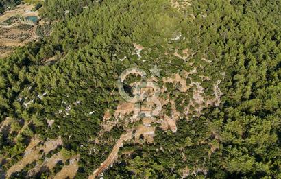 MENTEŞE KUYUCAK'DA SATILIK 5.932 M2 TARLA