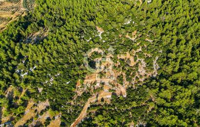 MENTEŞE KUYUCAK'DA SATILIK 5.932 M2 TARLA
