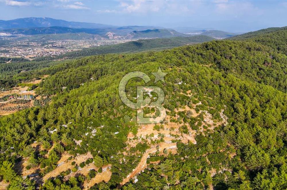 MENTEŞE KUYUCAK'DA SATILIK 5.932 M2 TARLA