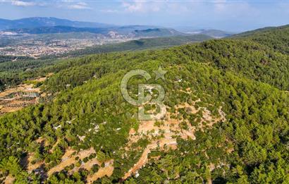 MENTEŞE KUYUCAK'DA SATILIK 5.932 M2 TARLA