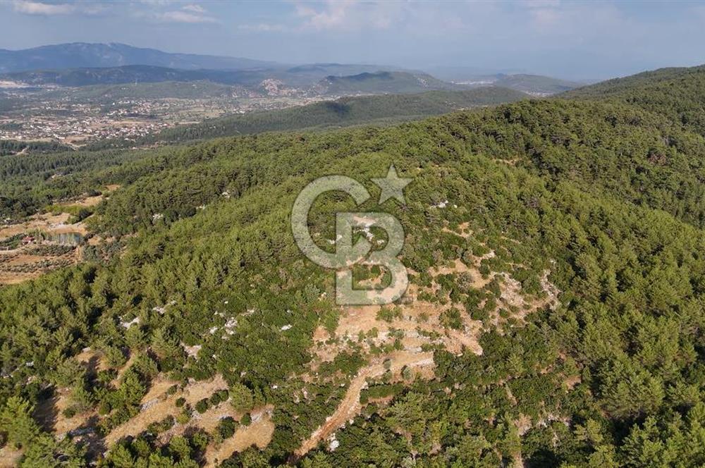 MENTEŞE KUYUCAK'DA SATILIK 5.932 M2 TARLA