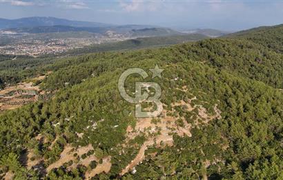 MENTEŞE KUYUCAK'DA SATILIK 5.932 M2 TARLA