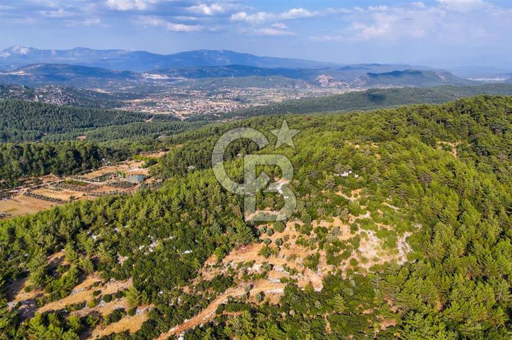 MENTEŞE KUYUCAK'DA SATILIK 5.932 M2 TARLA