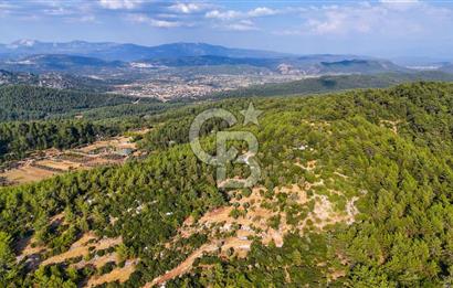 MENTEŞE KUYUCAK'DA SATILIK 5.932 M2 TARLA