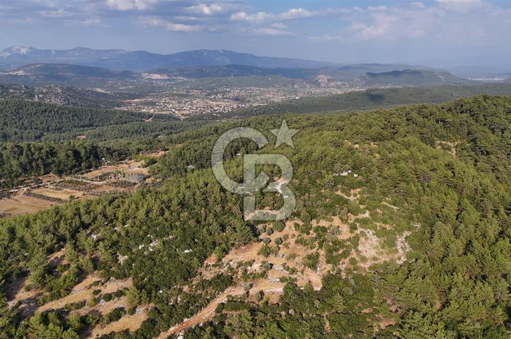 MENTEŞE KUYUCAK'DA SATILIK 5.932 M2 TARLA