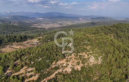 MENTEŞE KUYUCAK'DA SATILIK 5.932 M2 TARLA