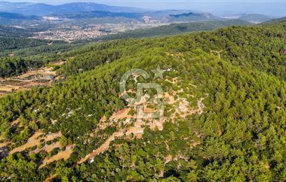 MENTEŞE KUYUCAK'DA SATILIK 5.932 M2 TARLA