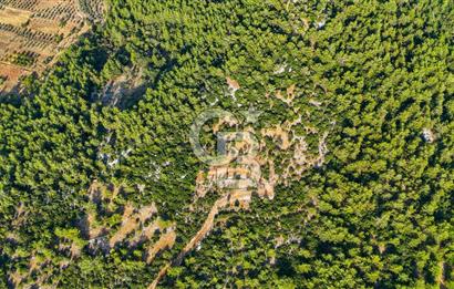 MENTEŞE KUYUCAK'DA SATILIK 5.932 M2 TARLA